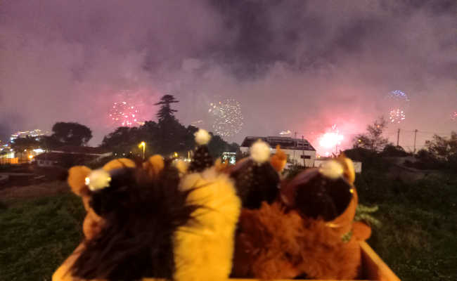 Feuerwerk Funchal!