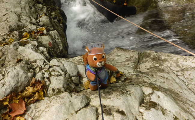 Mucki beim Canyoning