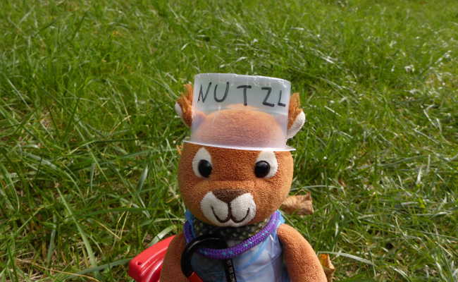 Der tolle Nutzl Helm Muckis Helm von Nutzl