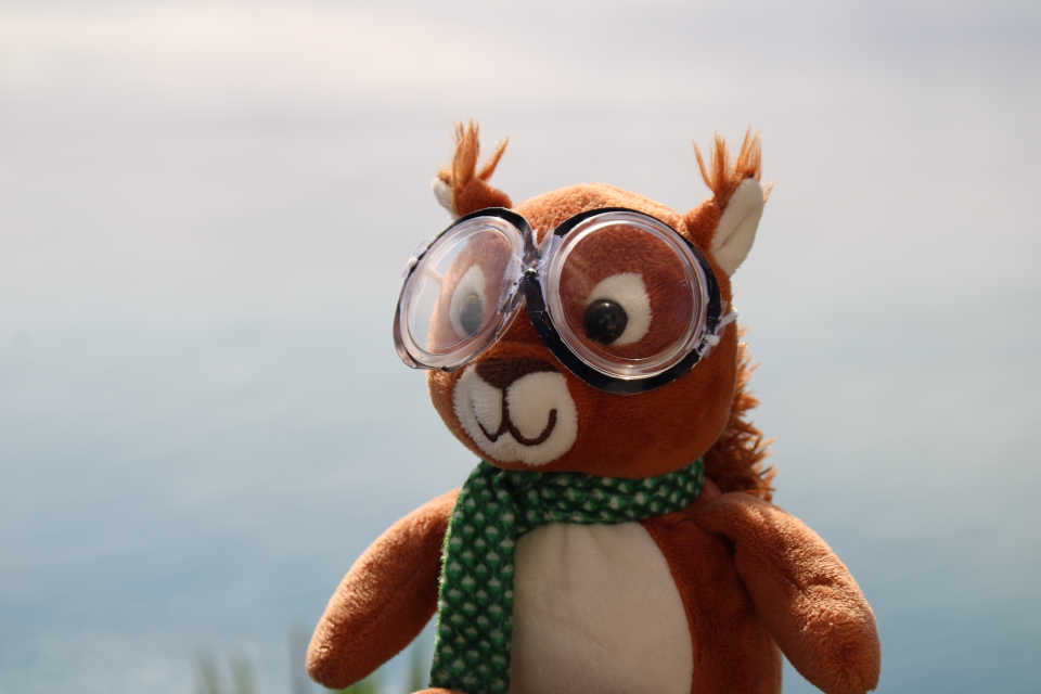 Für den besseren Durchblick! Eine Brille für Mucki