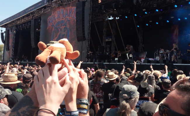 Crowdsurfing Mucki beim Crowdsurfing
