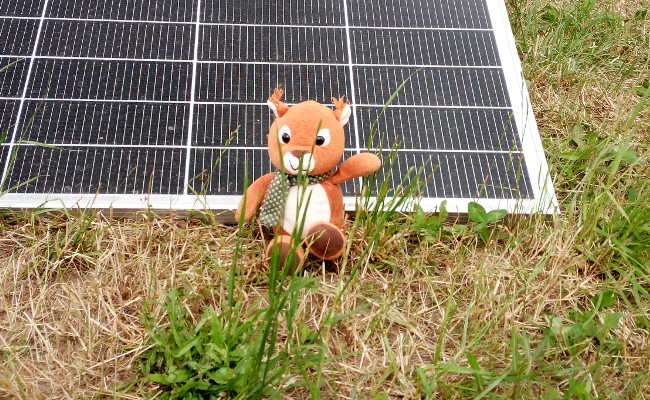 Solarzelle, umweltfreundlicher Strom