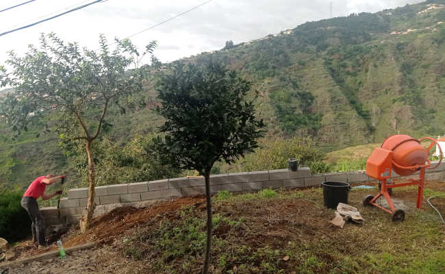 Garten Casa Vento, Appartement, Moreno, Ribeira Brava