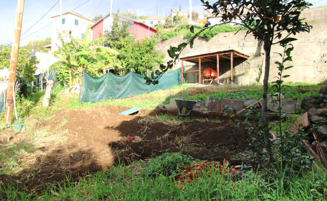 Garten, Ribeira Brava