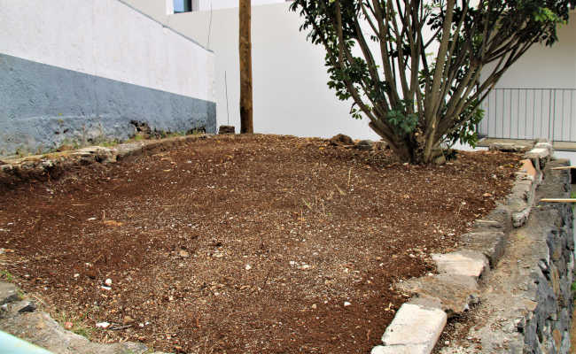 Gartenarbeit im Casa Vento Madeira