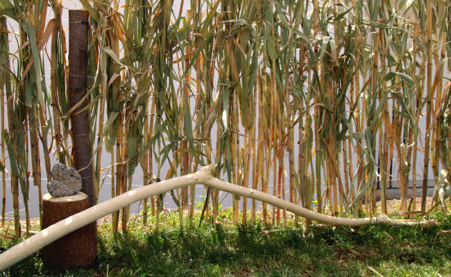 Gartenarbeit im Casa Vento Madeira