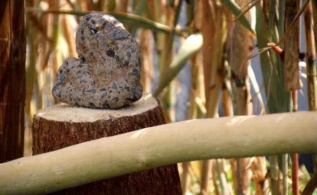 Bambuszaun im Casa Vento Madeira Garten in Arco da Calheta