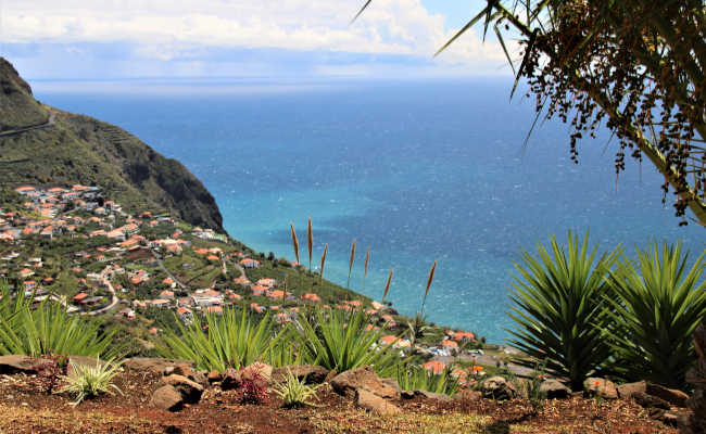 Garten in Madeira in Calheta