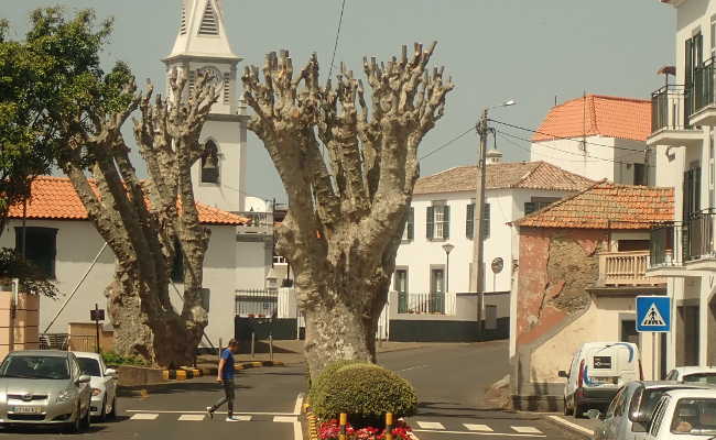 Aussichtspunkt in Arco da Calheta