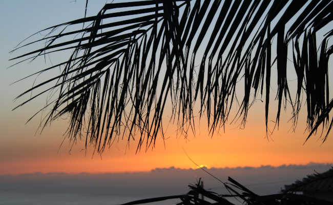Palmen und Sonnenuntergang in Ribeira Brava
