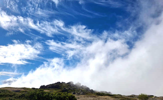 Lokales Wetter, Madeira