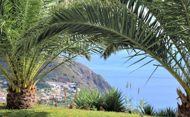 Panorama aus unserem Ferienhaus in Madeira trotz Sars Cov 2